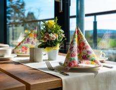 Hotel am Schwanenhaus Dresden